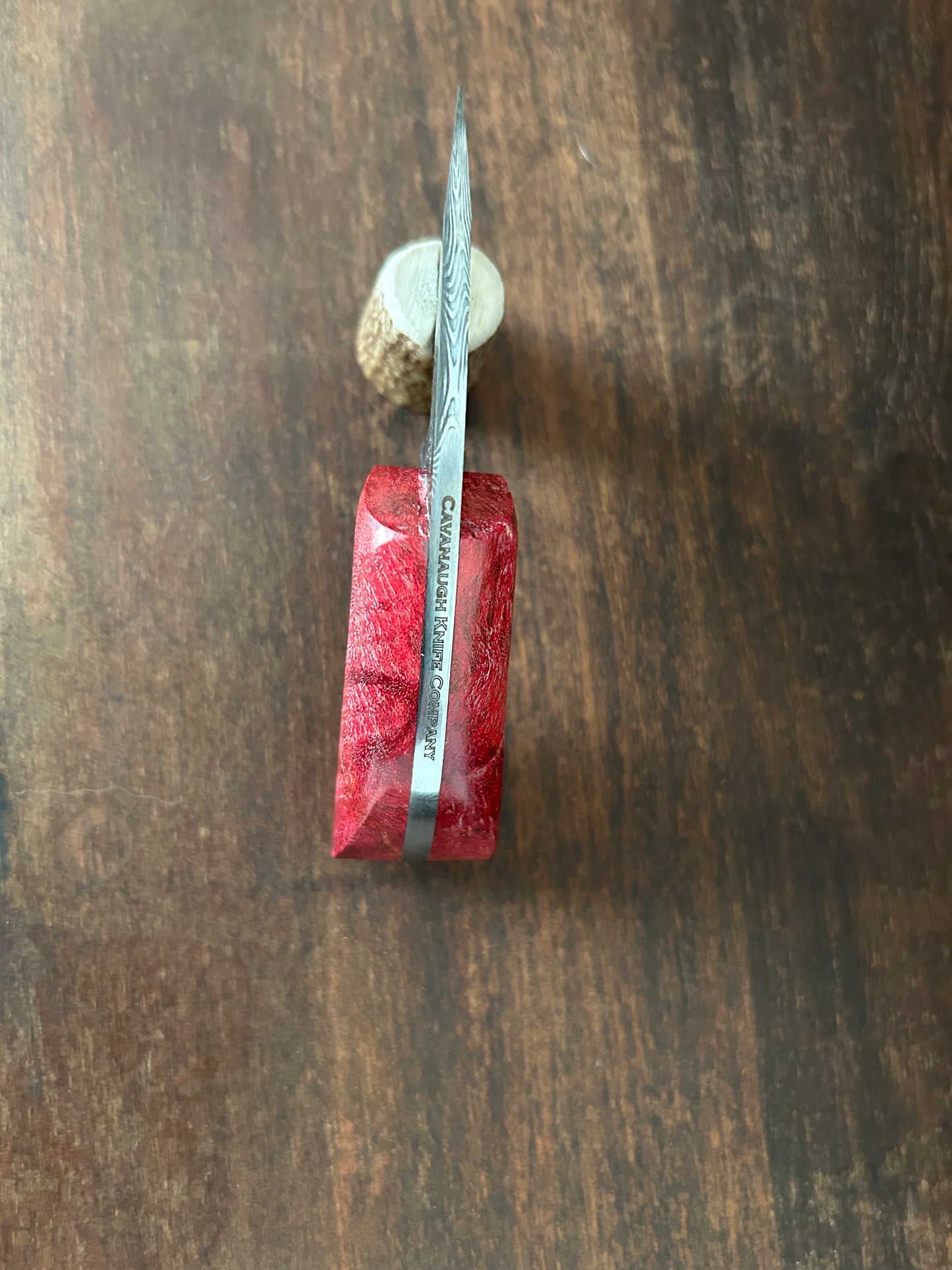 Custom Damascus Tadpole