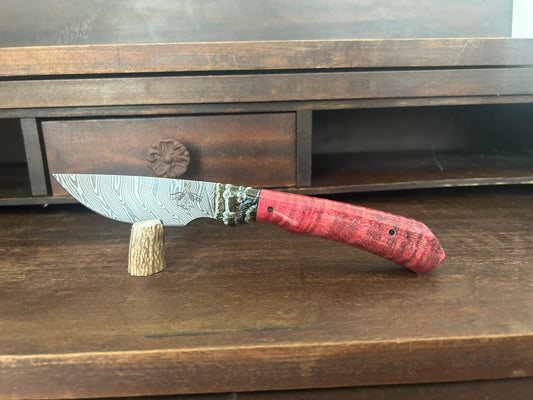 Custom Damascus Woolly Mammoth Tooth & Dyed Red Spalted Curly Maple